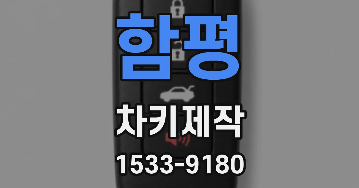 함평 차키제작