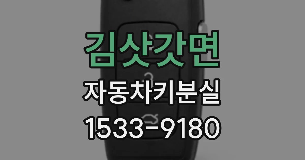 김삿갓면 자동차키분실