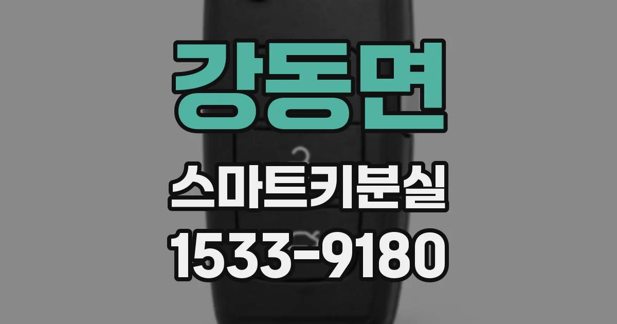 강동면 스마트키분실