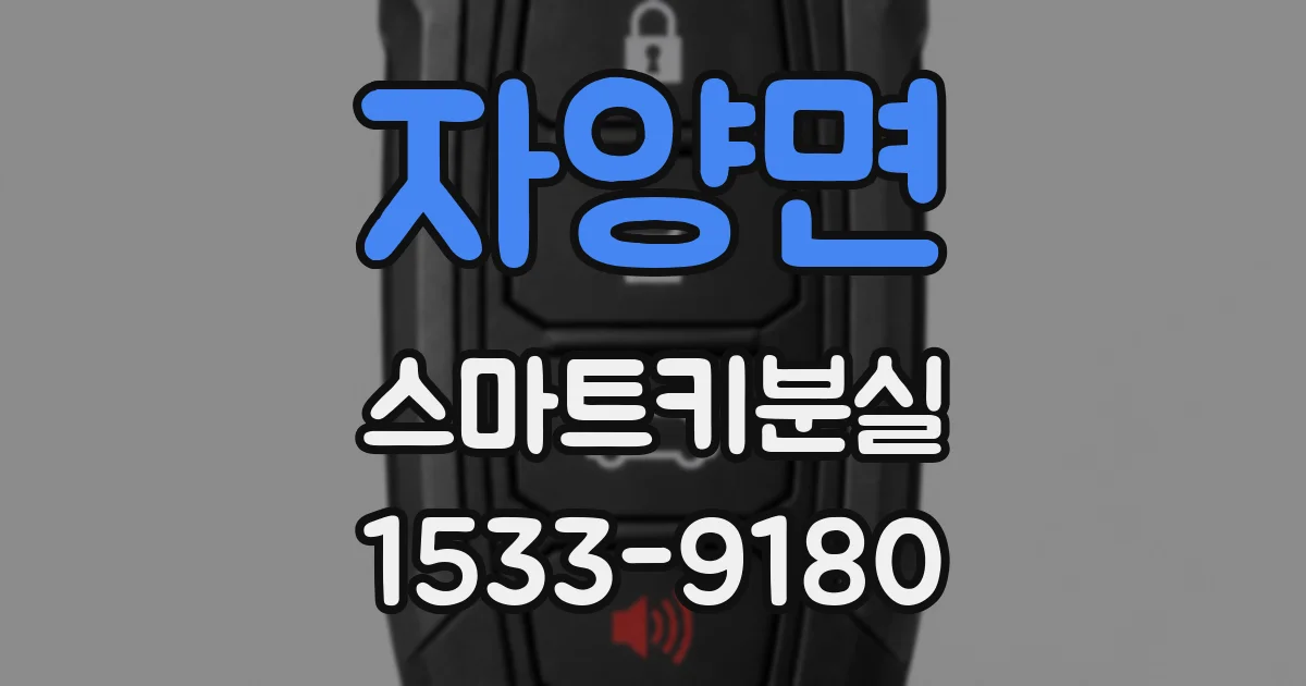 자양면 스마트키분실