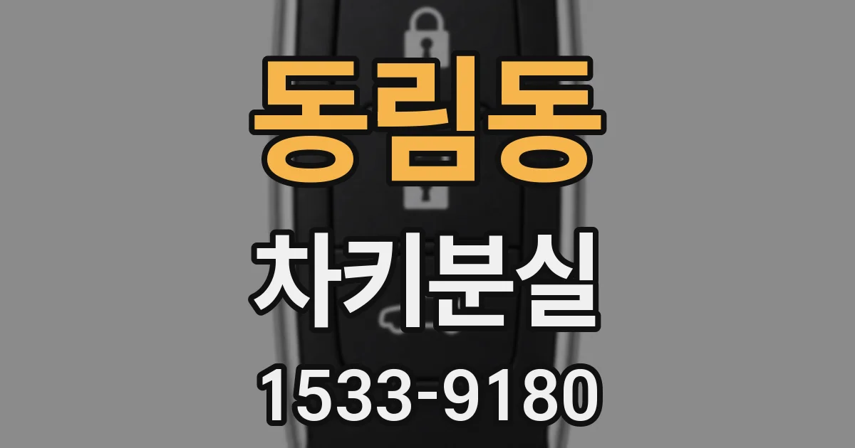 동림동 차키분실