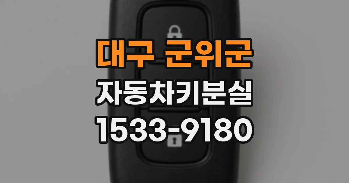 대구 군위군 자동차키분실