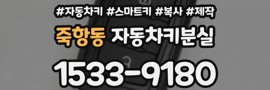 죽항동 자동차키분실