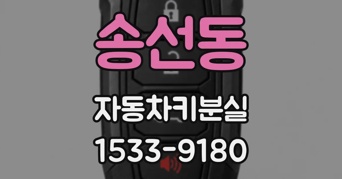 송선동 자동차키분실