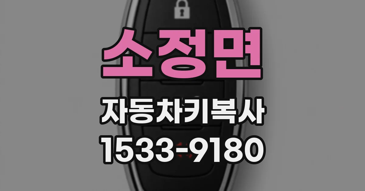 소정면 자동차키복사