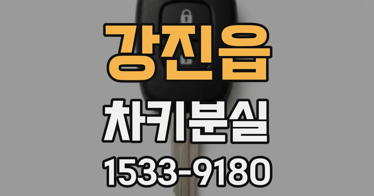 강진읍 차키분실