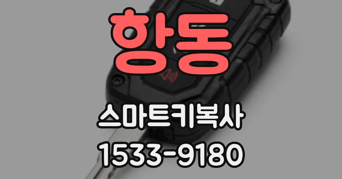 항동 스마트키복사