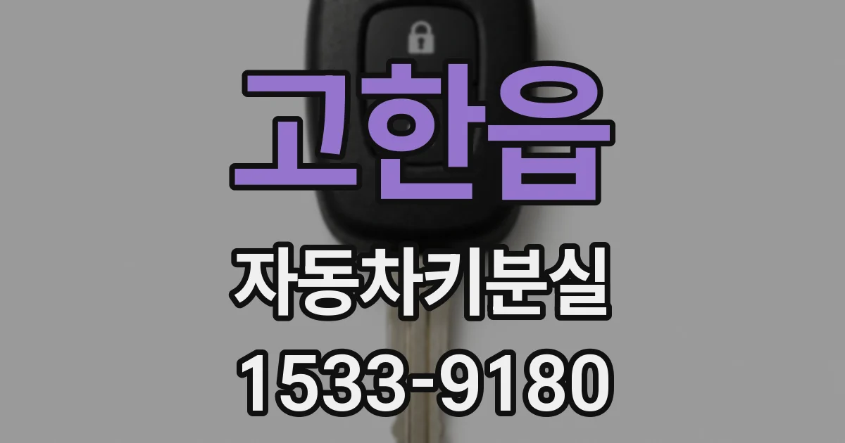 고한읍 자동차키분실