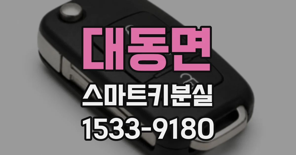 대동면 스마트키분실
