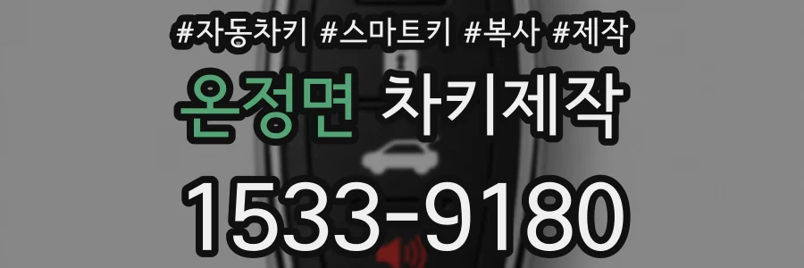 온정면 차키제작
