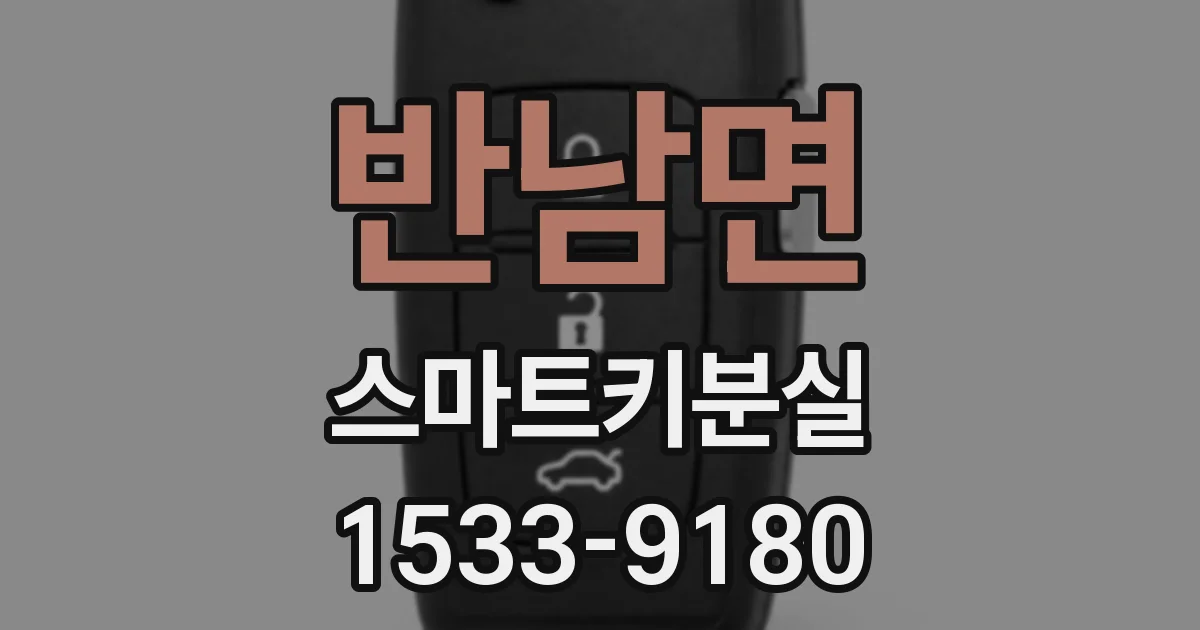 반남면 스마트키분실