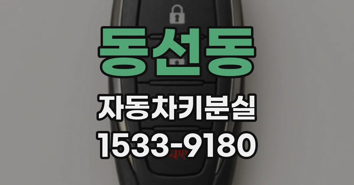 동선동 자동차키분실