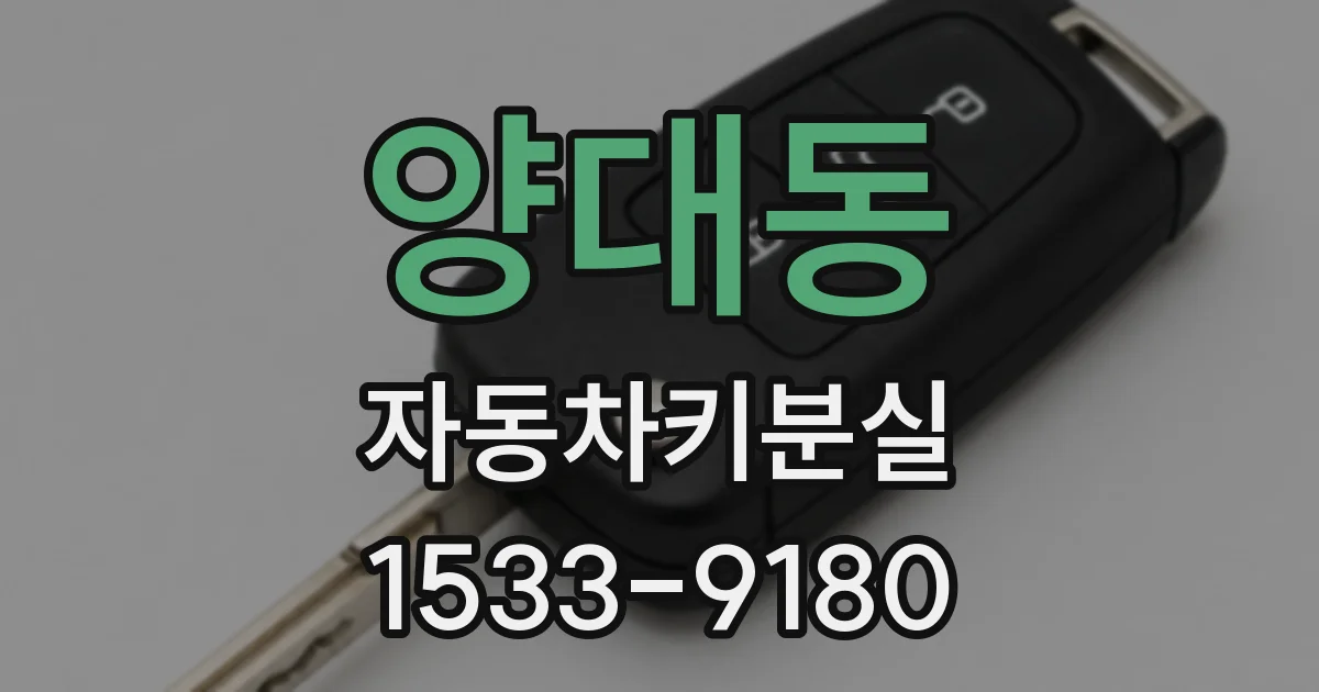 양대동 자동차키분실