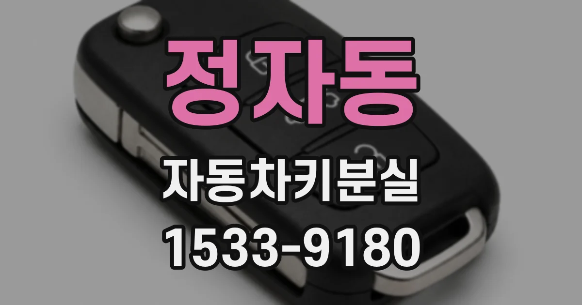 정자동 자동차키분실