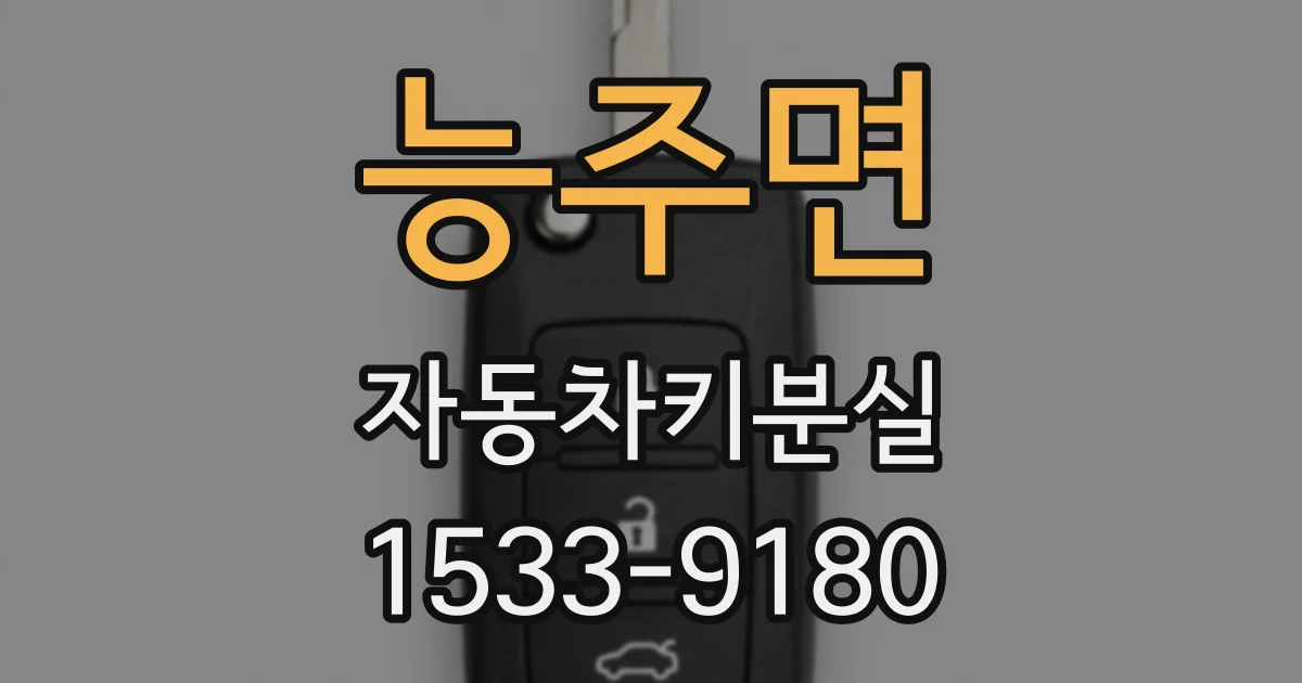 능주면 자동차키분실