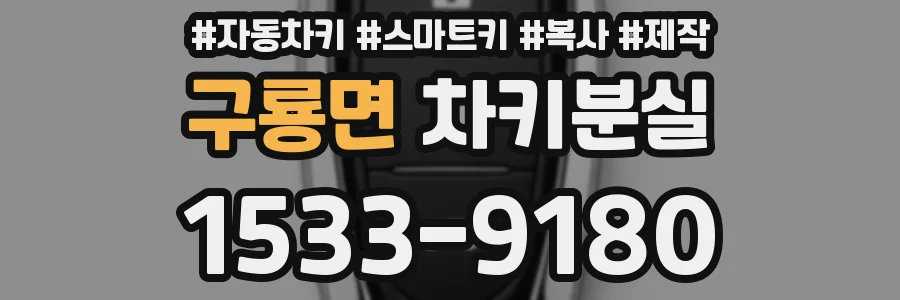 구룡면 차키분실