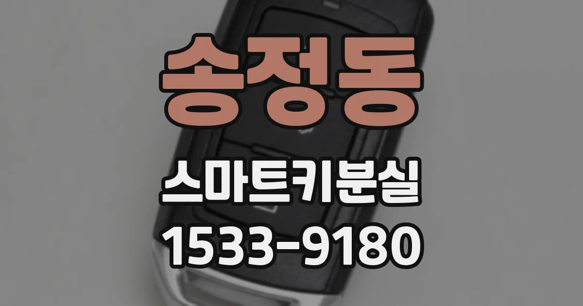 송정동 스마트키분실