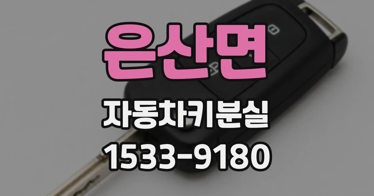 은산면 자동차키분실