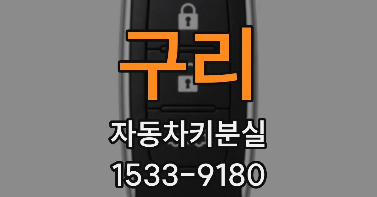 구리 자동차키분실