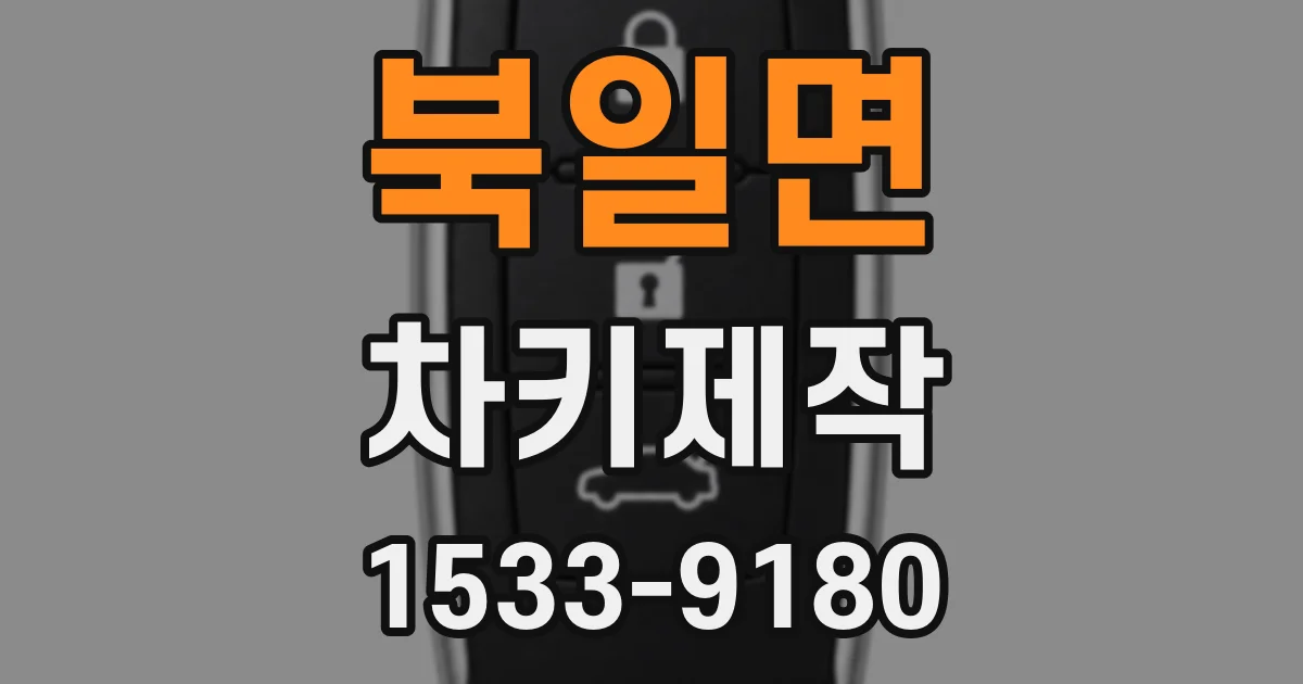 북일면 차키제작