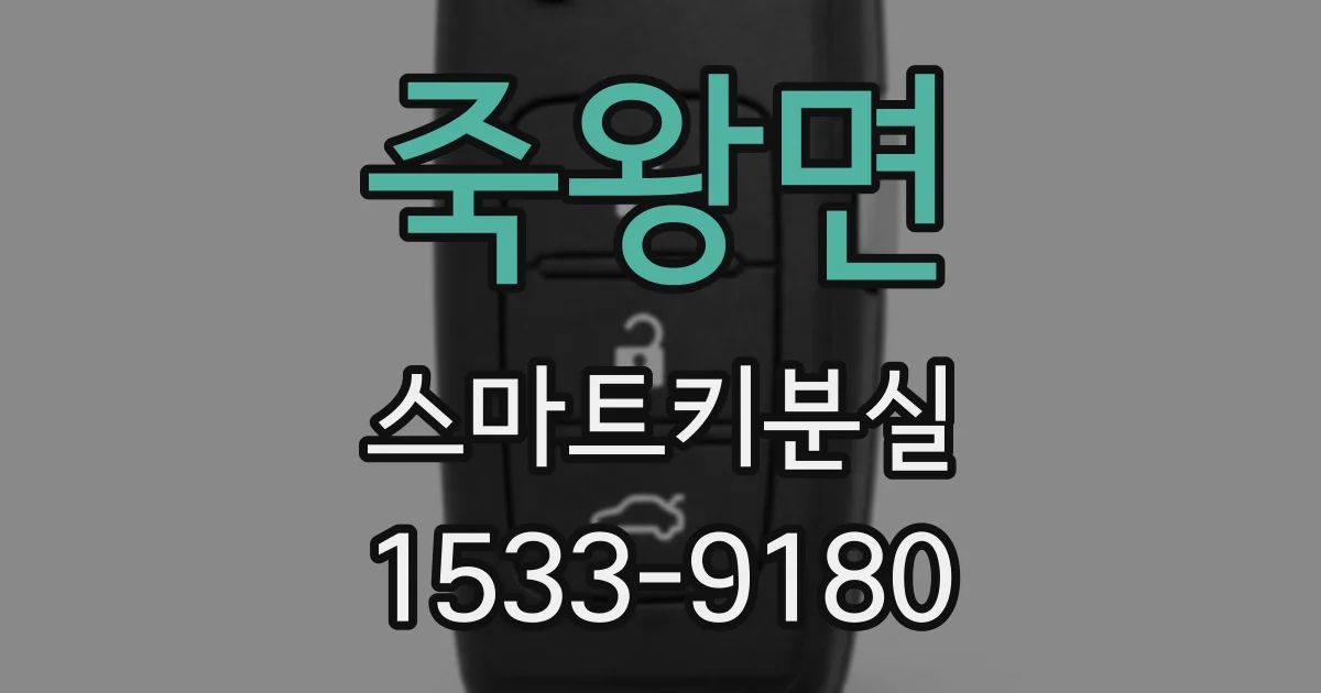 죽왕면 스마트키분실