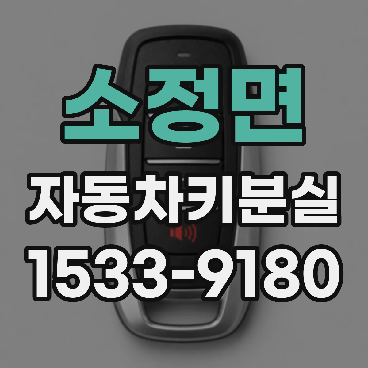 소정면 자동차키분실