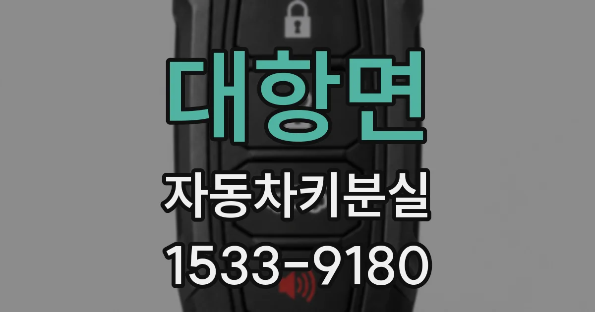 대항면 자동차키분실