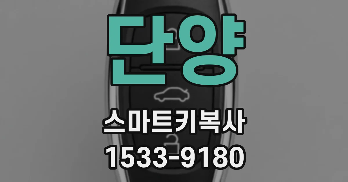 단양 스마트키복사