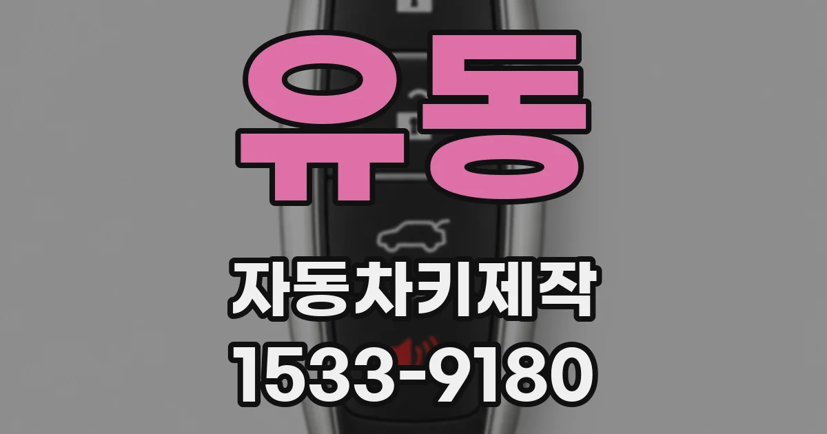 유동 자동차키제작