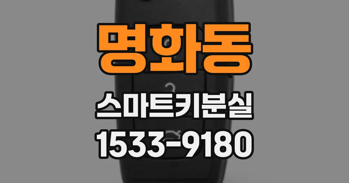 명화동 스마트키분실