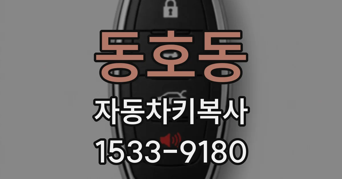 동호동 자동차키복사