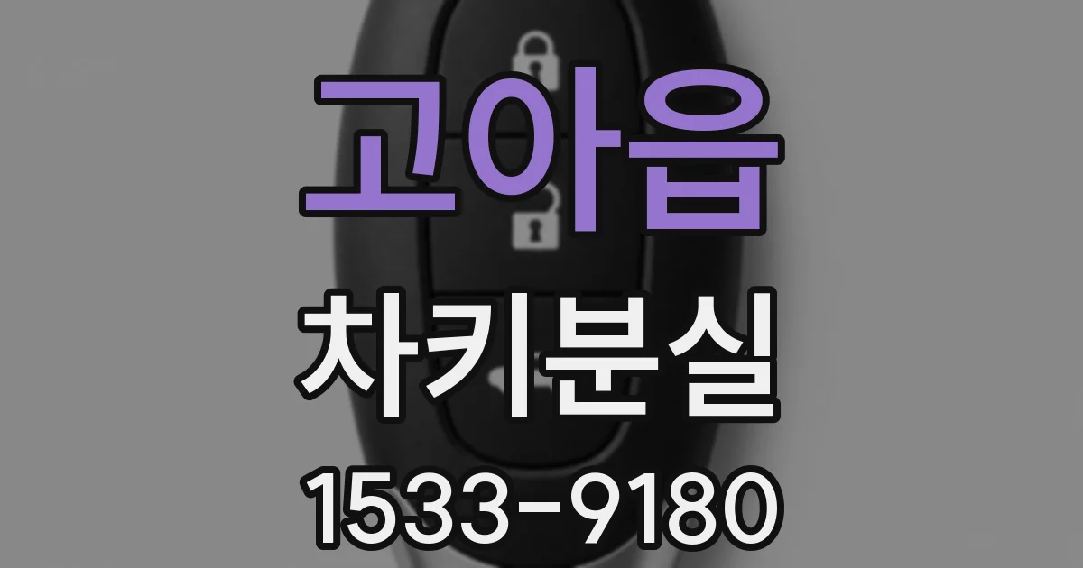 고아읍 차키분실