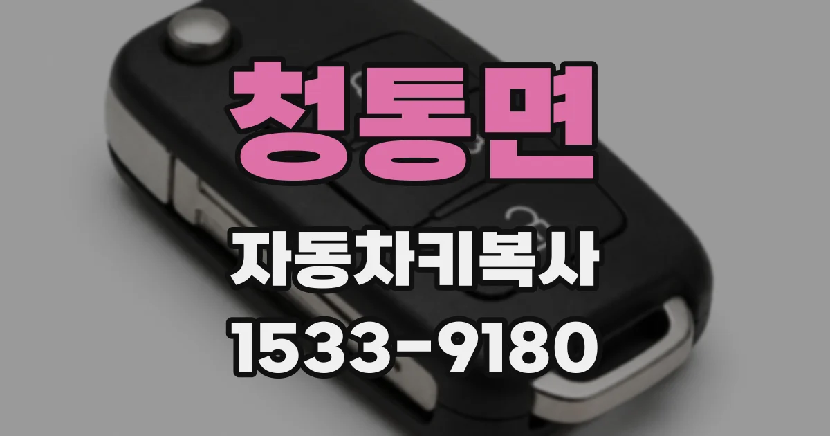 청통면 자동차키복사