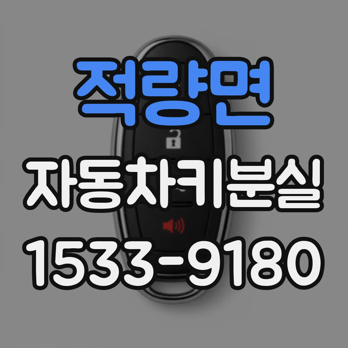 적량면 자동차키분실