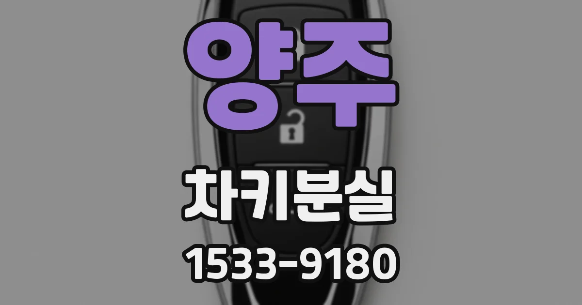 양주 차키분실