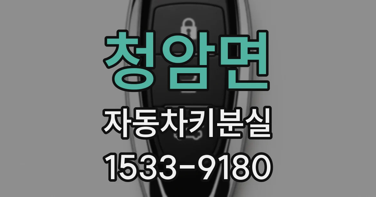 청암면 자동차키분실