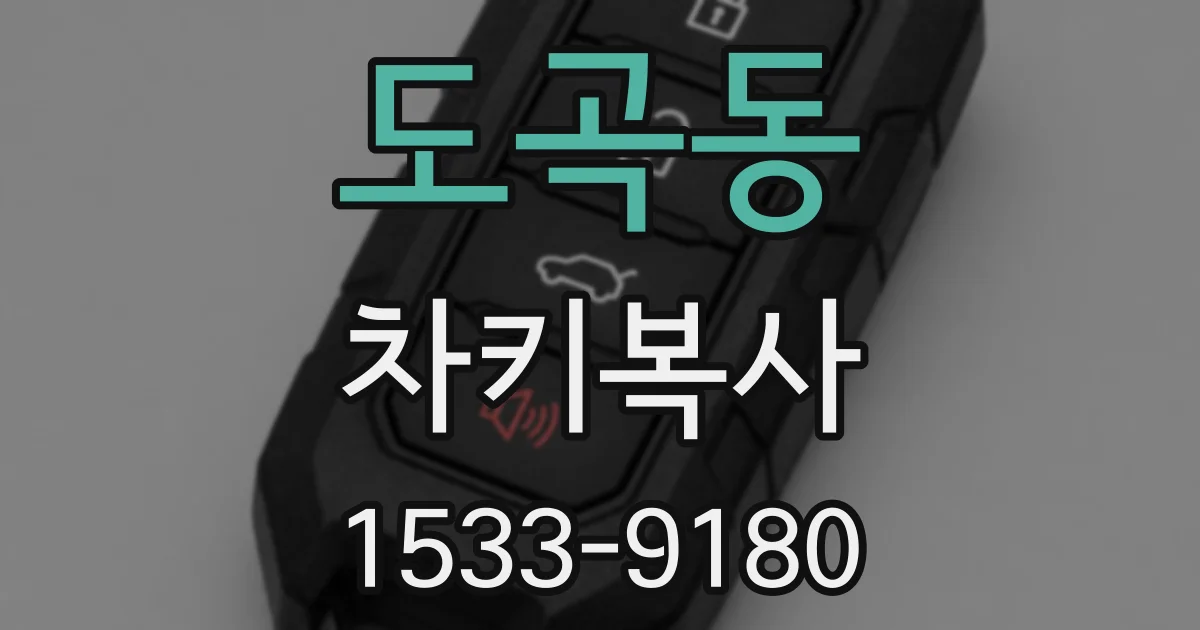 도곡동 차키복사
