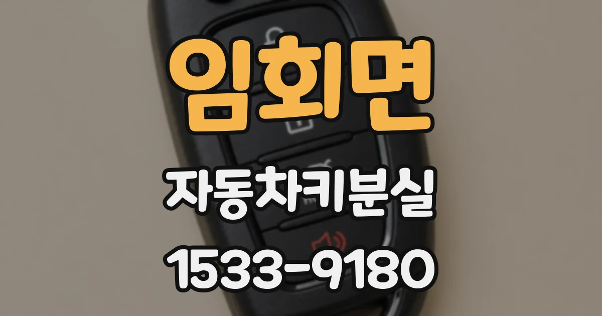임회면 자동차키분실