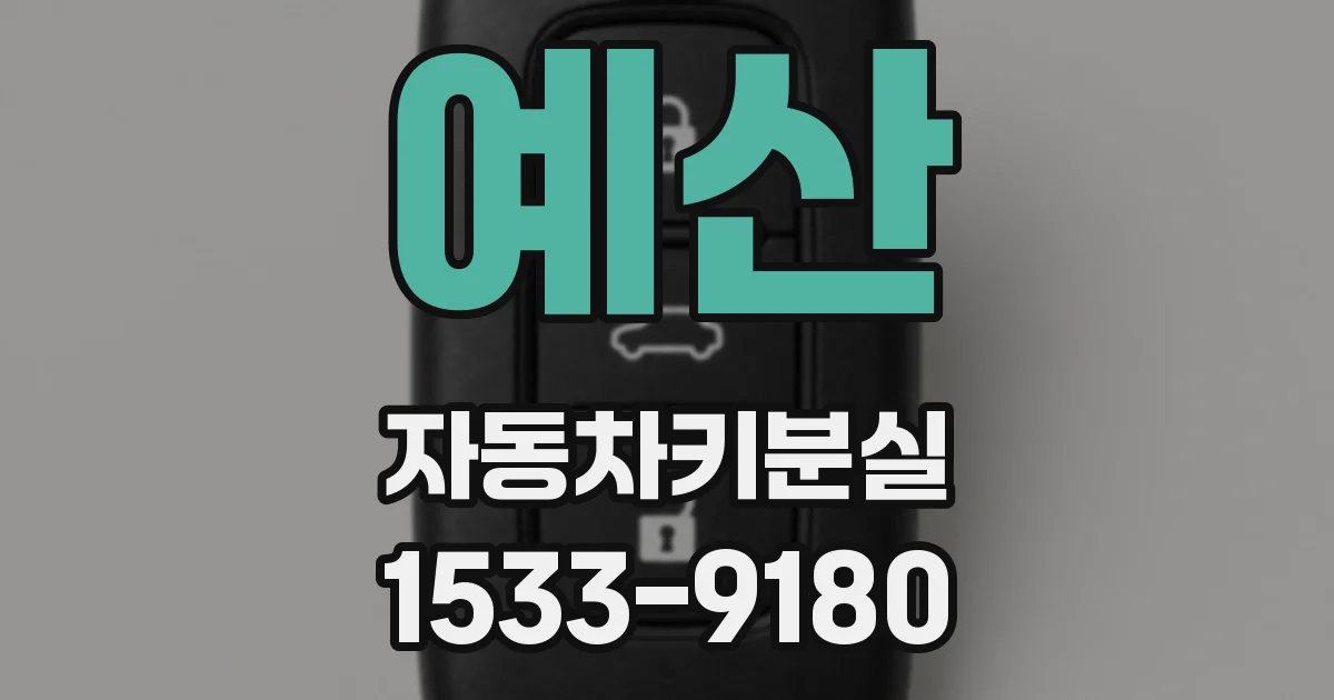 예산 자동차키분실