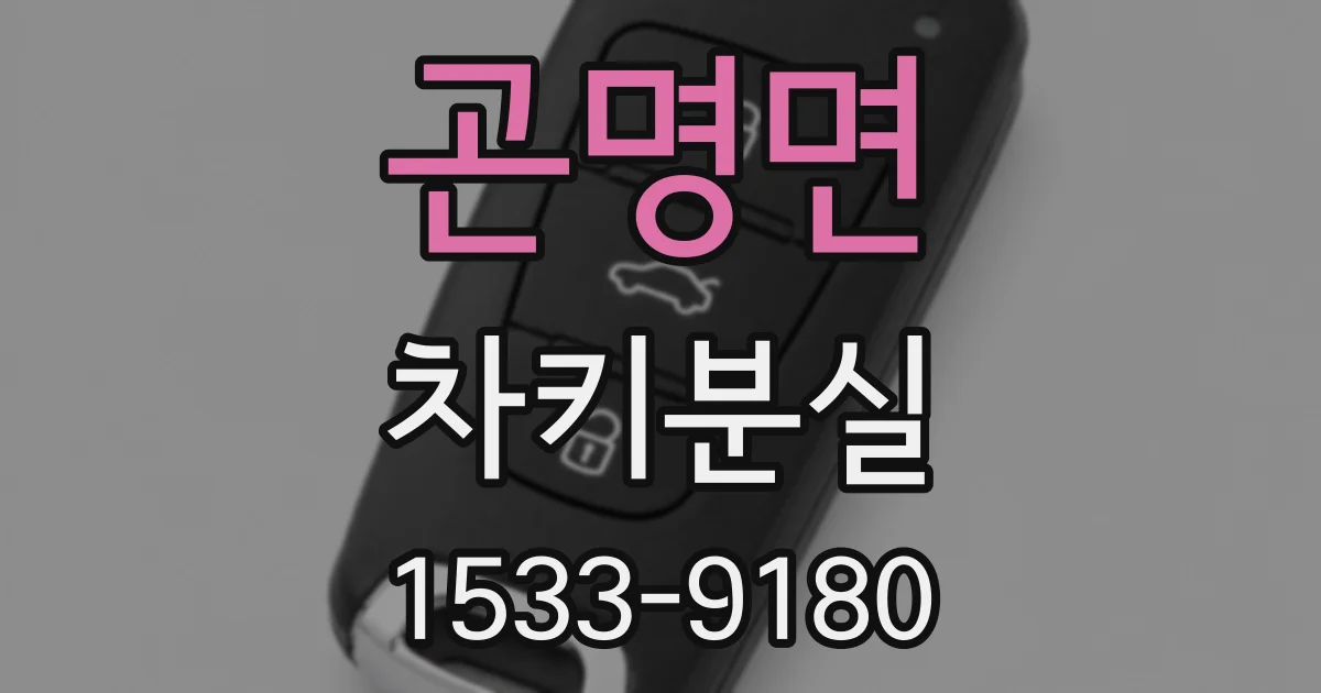 곤명면 차키분실