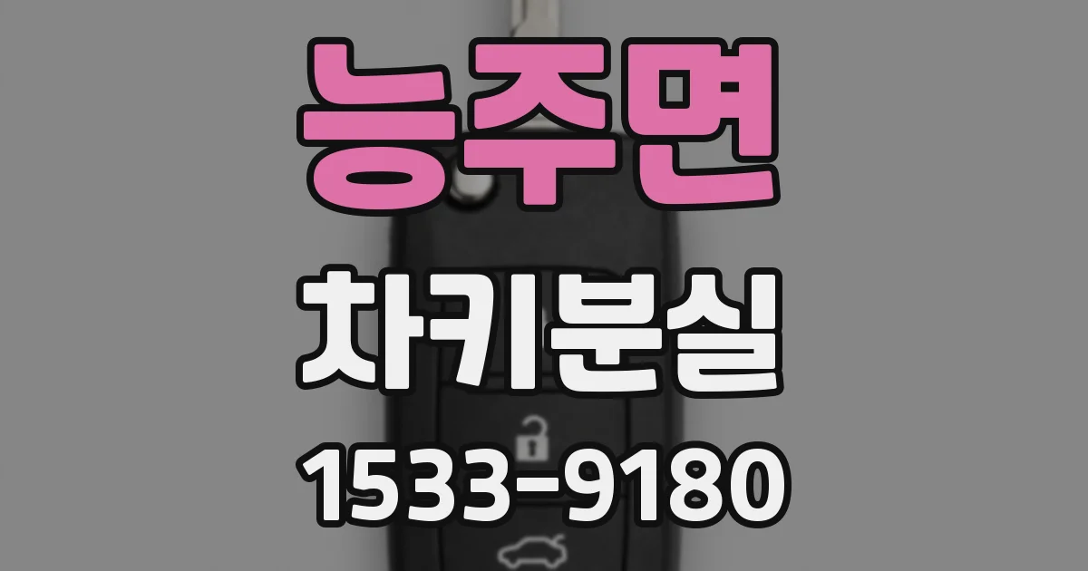 능주면 차키분실
