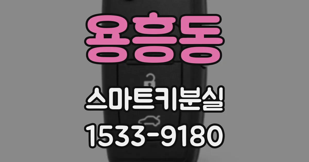 용흥동 스마트키분실
