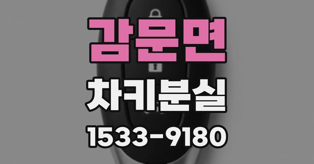 감문면 차키분실