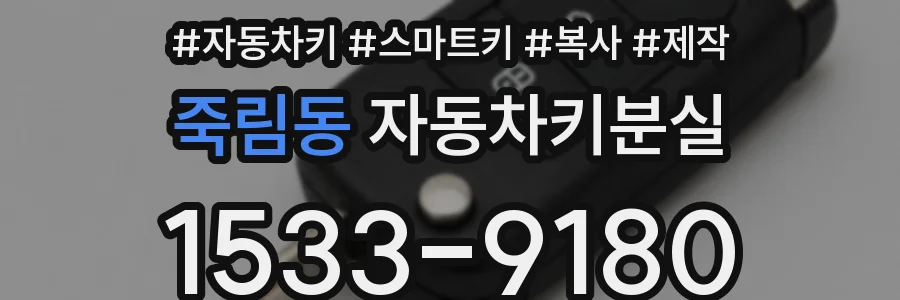 죽림동 자동차키분실
