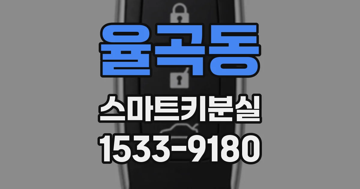 율곡동 스마트키분실
