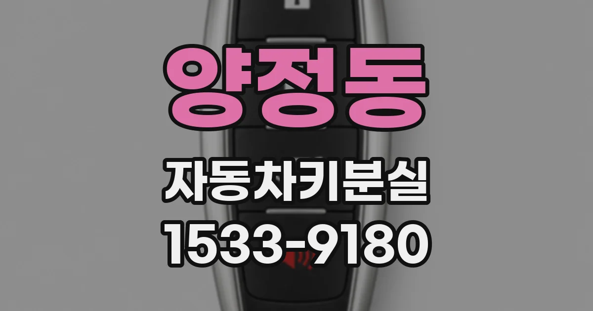 양정동 자동차키분실