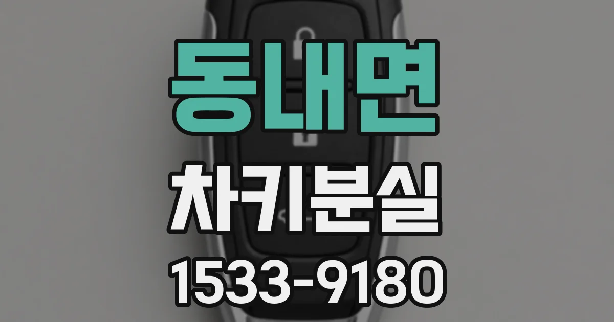 동내면 차키분실