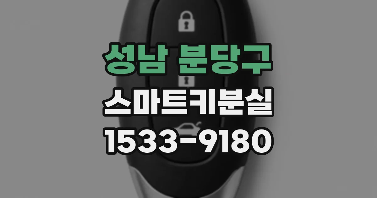 성남 분당구 스마트키분실