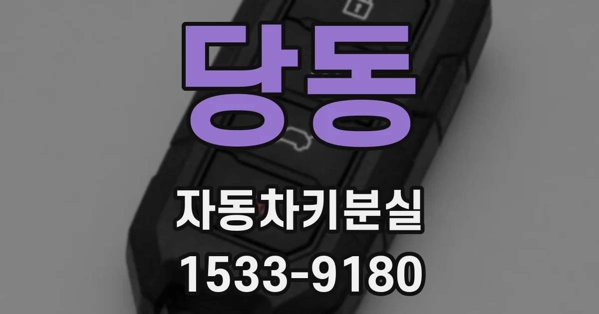 당동 자동차키분실