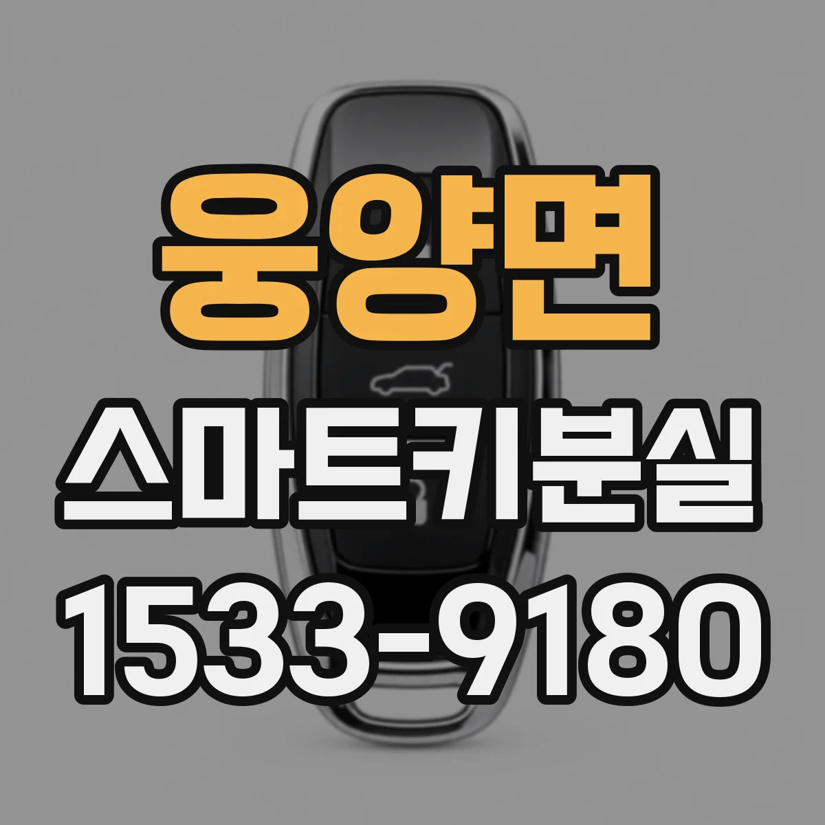 웅양면 스마트키분실